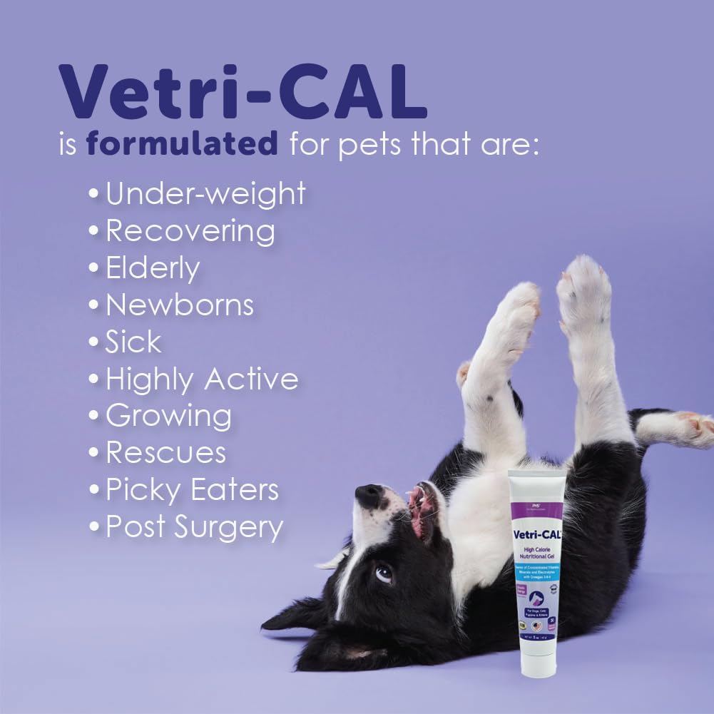 High Calorie Nutritional Gel for Dogs and Cats 5 oz Z8249
