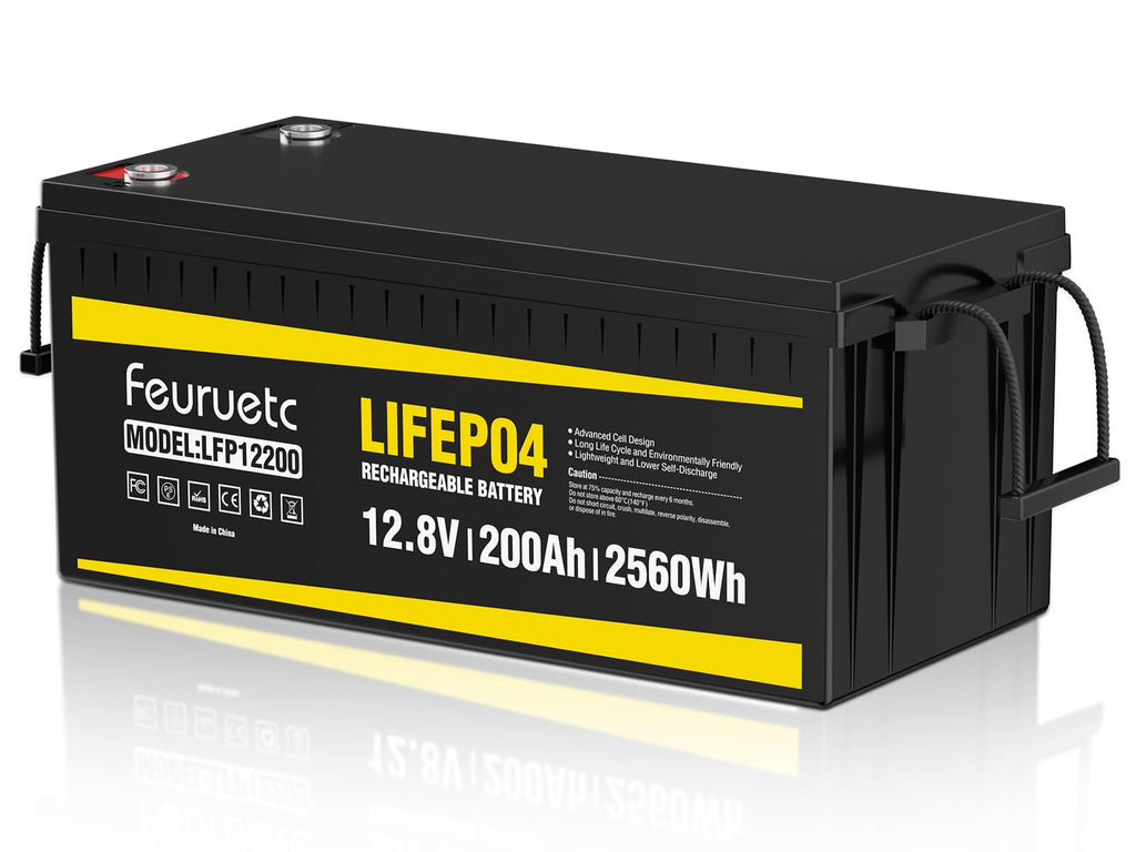 12V 200Ah LiFePO4 Deep Cycle Lithium Battery with 200A BMS A49099
