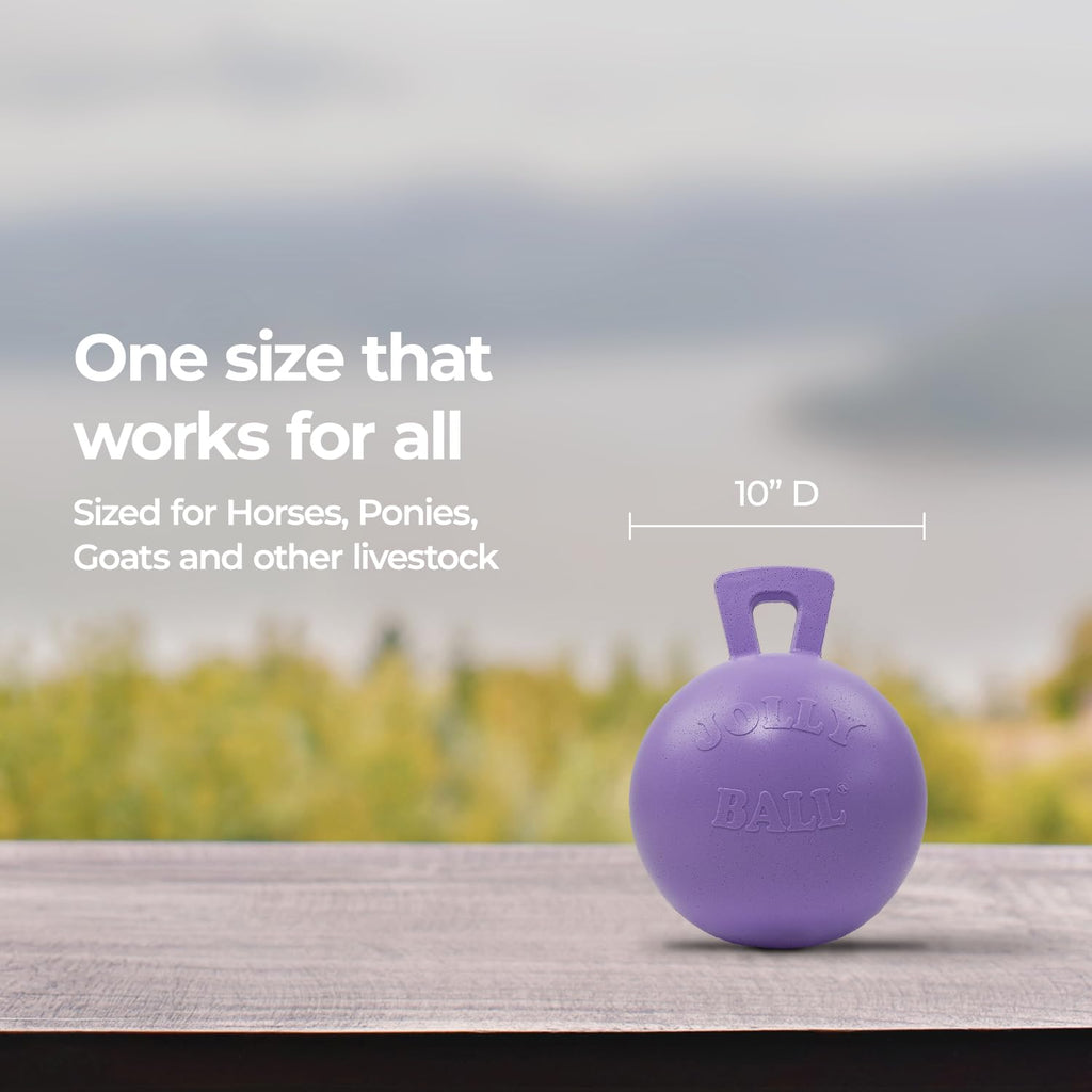 10 in Horse Toy Light Purple N3619