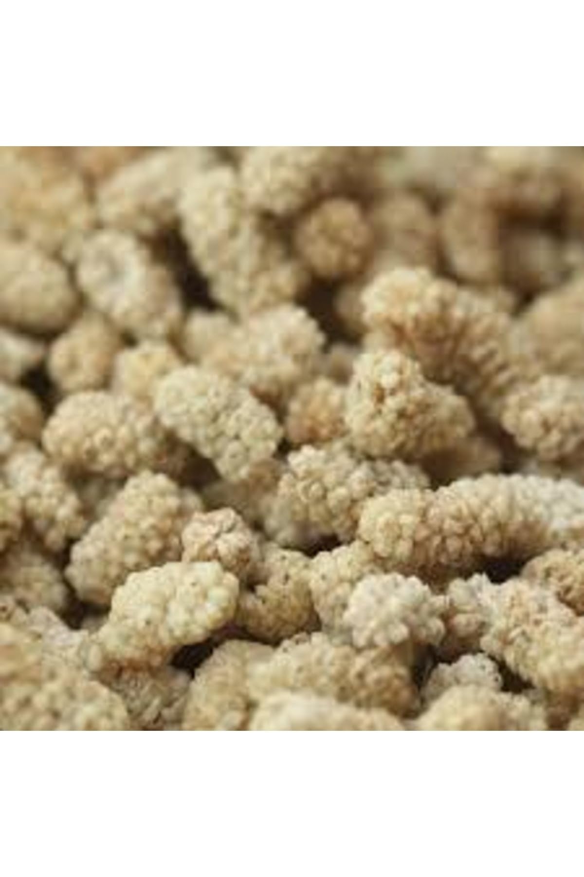 Dried White Mulberries 35.3 oz X4092