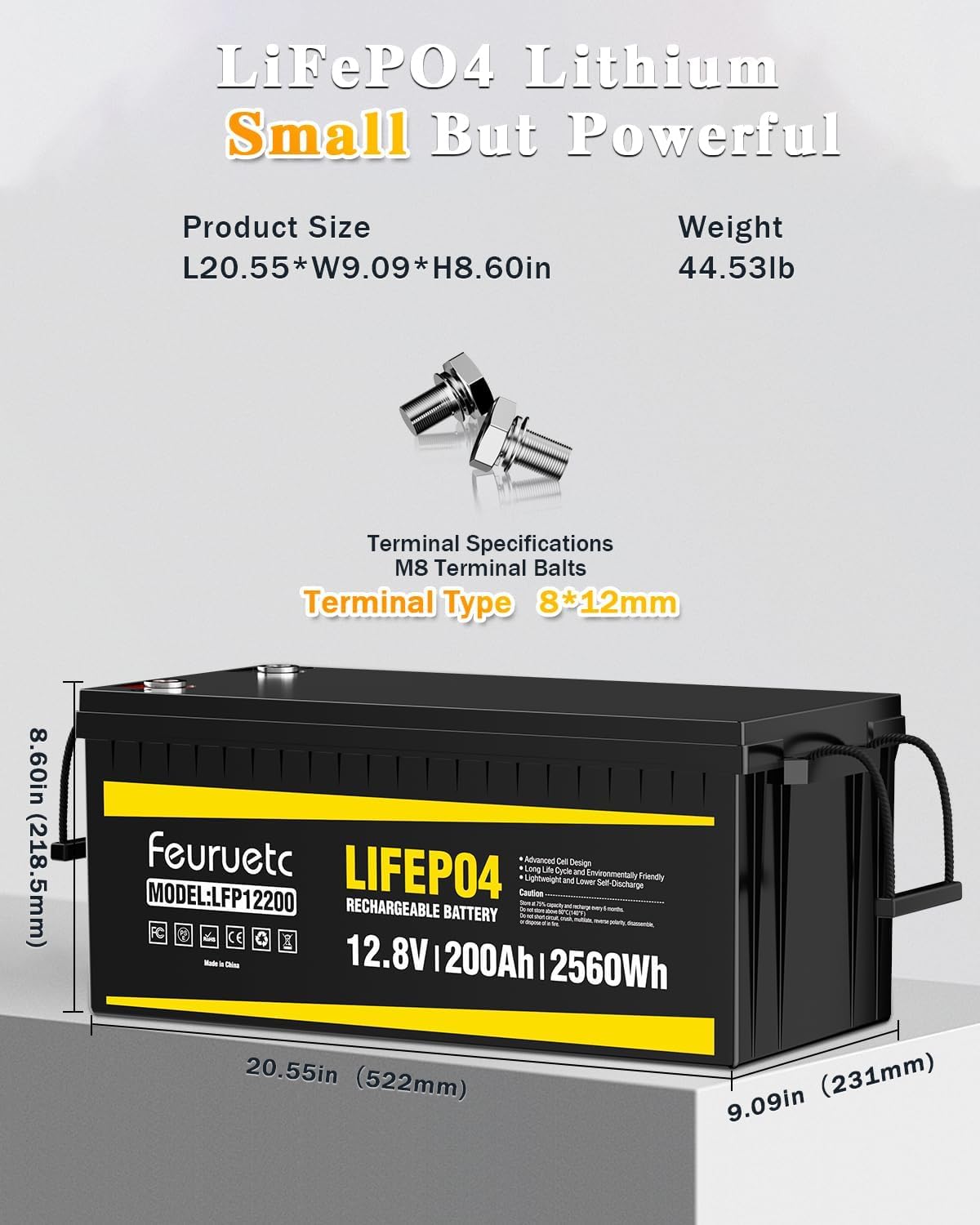 12V 200Ah LiFePO4 Deep Cycle Lithium Battery with 200A BMS A49099
