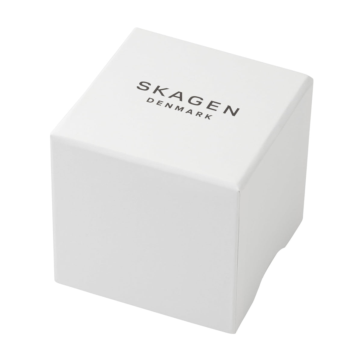 Stainless Steel Watch R4118