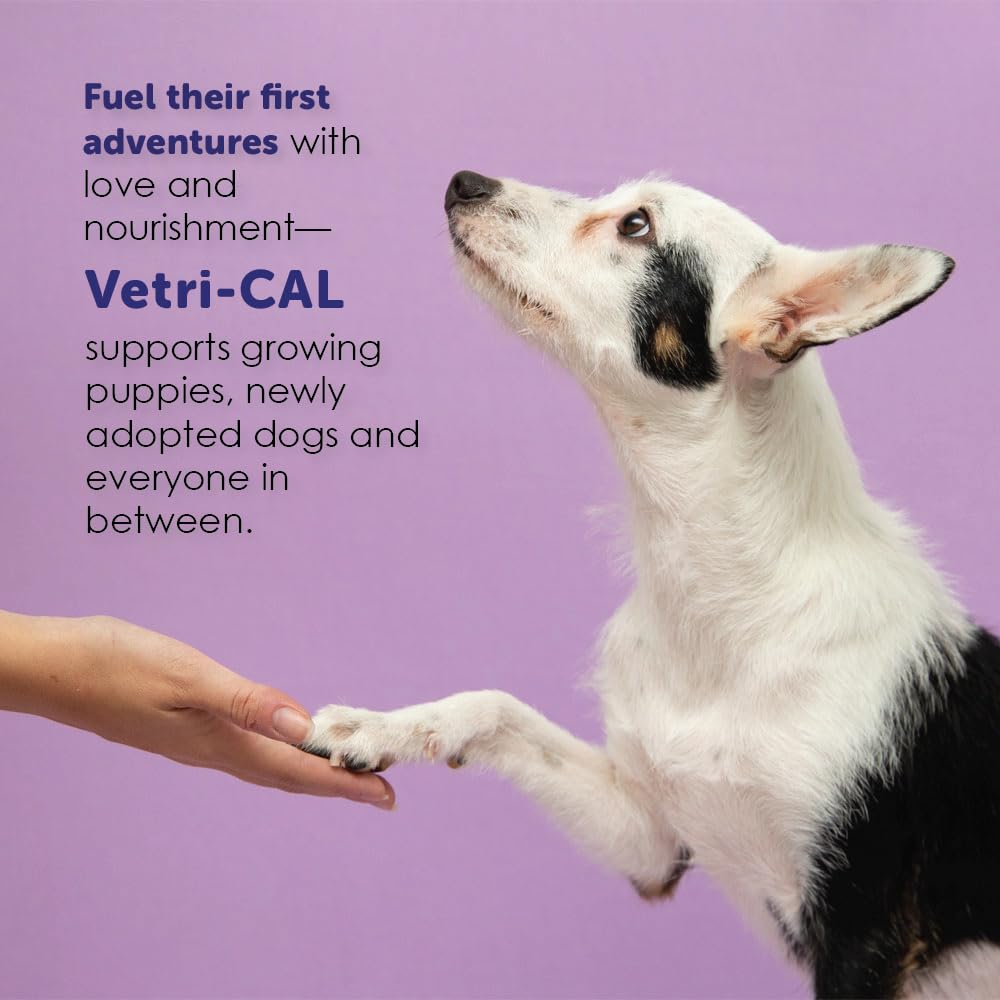 High Calorie Nutritional Gel for Dogs and Cats 5 oz Z8249