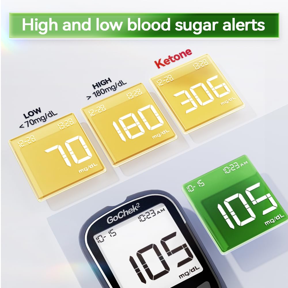 Blood Glucose Monitor Kit 100 Strips & Lancets Y552091