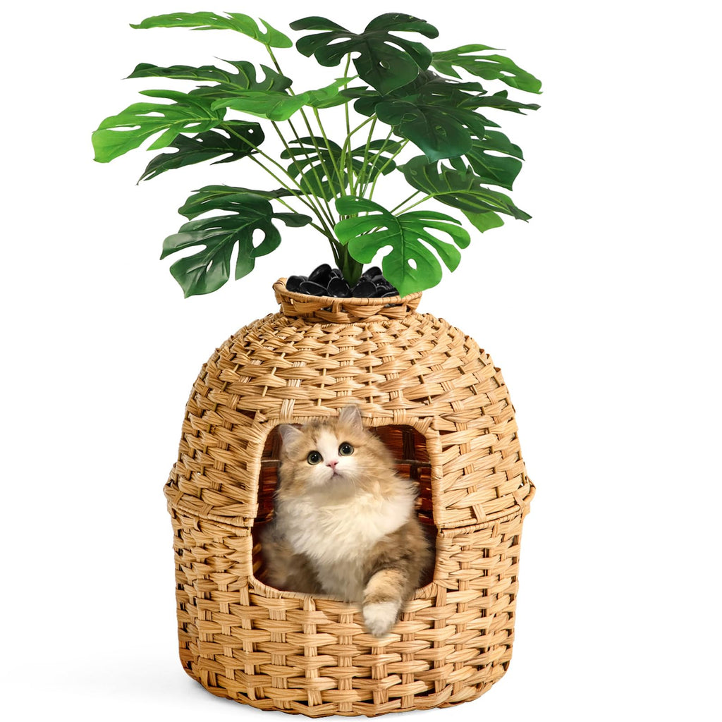 Cat Litter Box Enclosure A851501