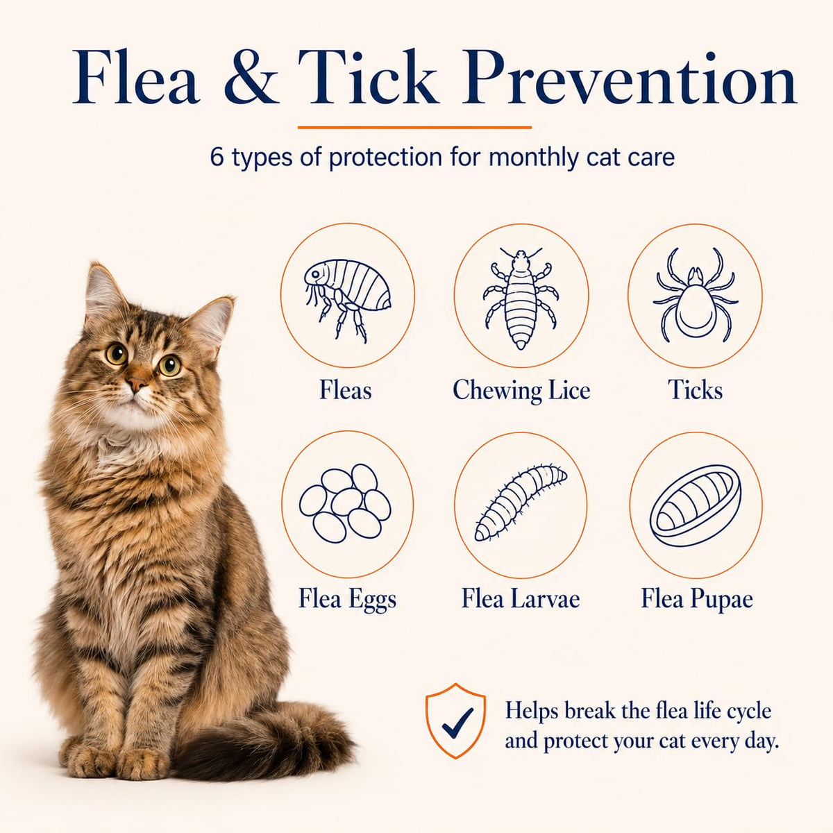 Waterproof Topical Flea & Tick Preventative for Cats, 6 Doses D280130