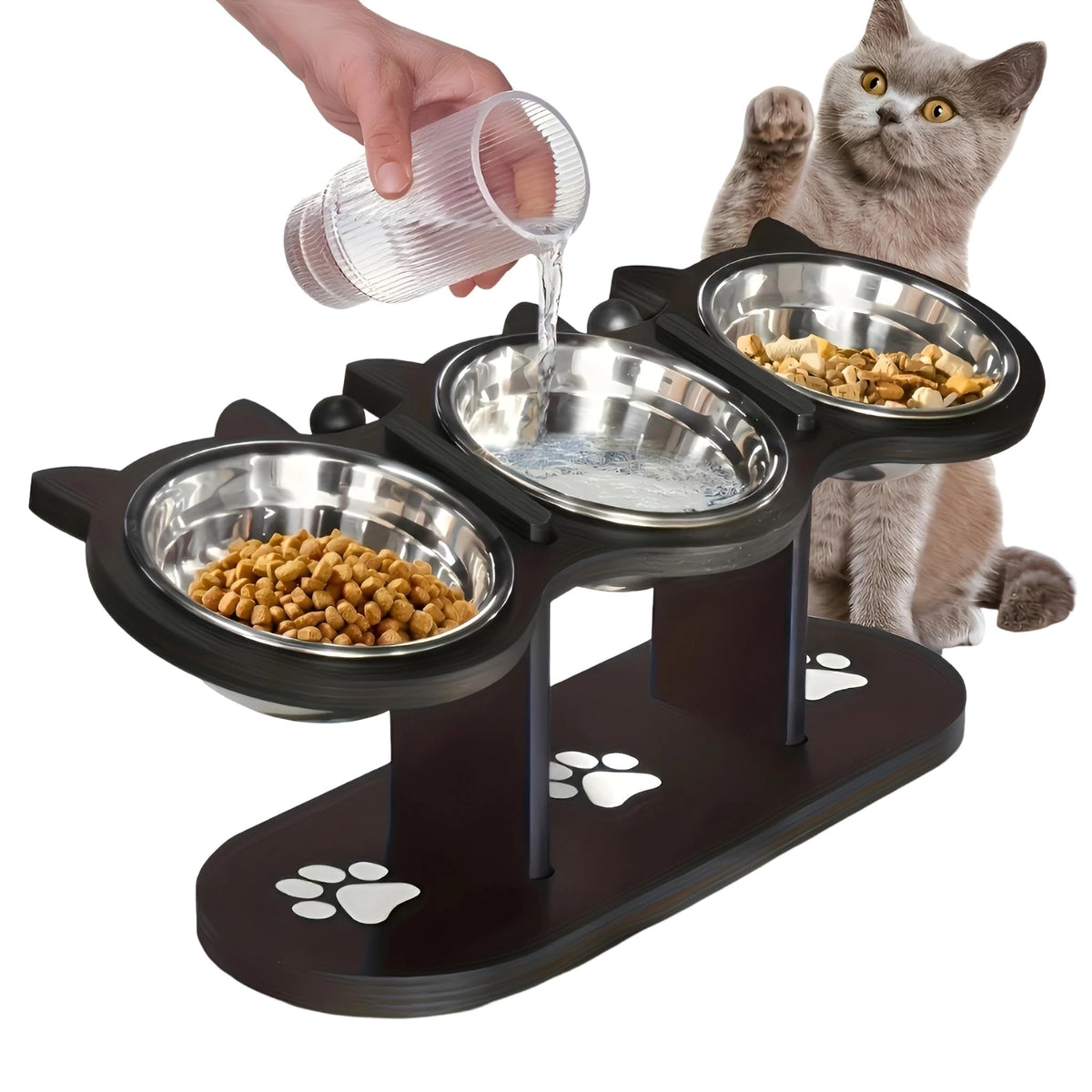 Raised Cat Bowls with 3 Stainless Steel Bowls D268