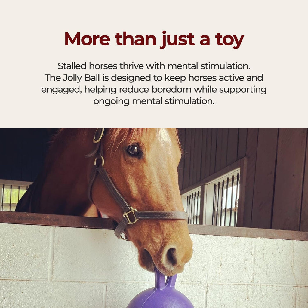 10 in Horse Toy Light Purple N3619