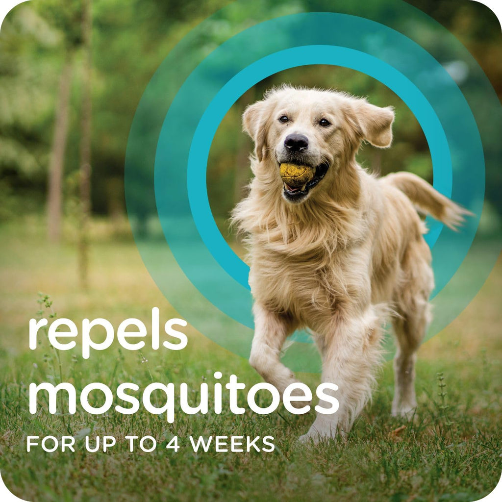 Flea & Tick Topical Dogs 7-33 lbs 3-Month X459
