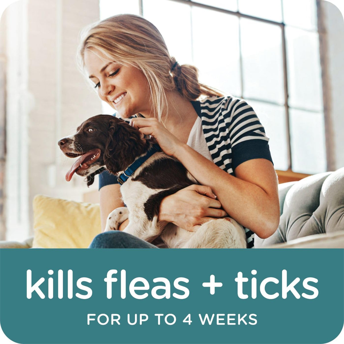 Flea & Tick Topical Dogs 7-33 lbs 3-Month X459