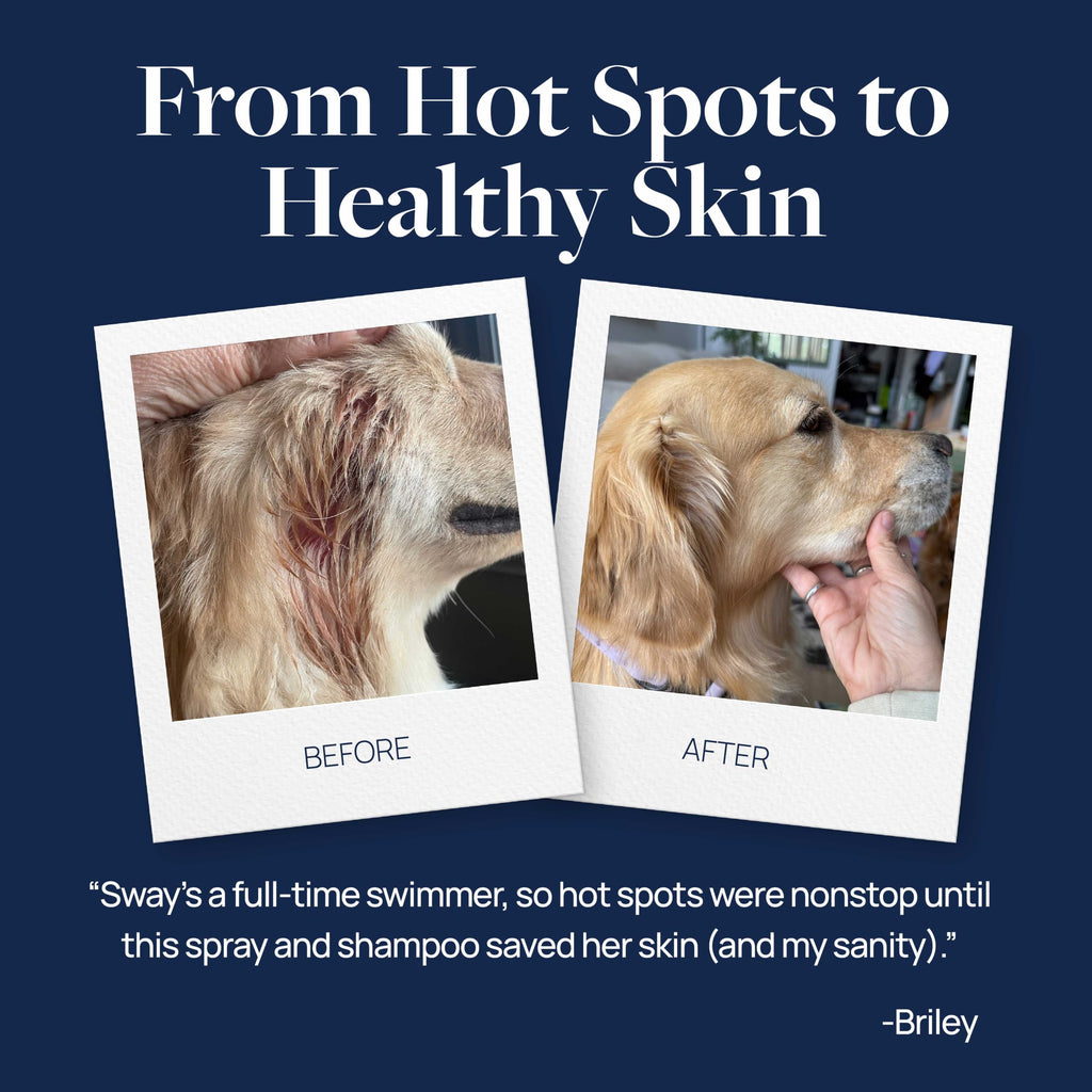 Hot Spot & Itch Relief Pet Shampoo, 16 oz M872811