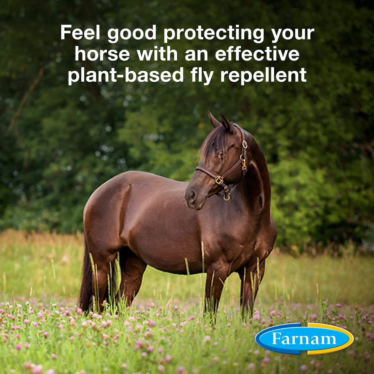 Botanical Fly Repellent 32 Ounces Spray Pack of 2 B199451