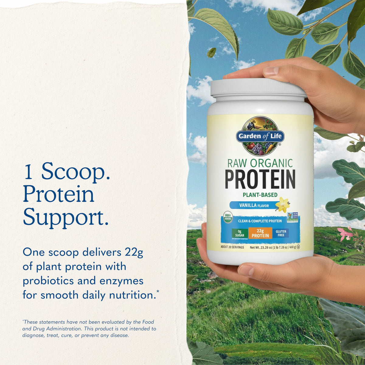 Organic Vegan Vanilla Protein Powder R635310