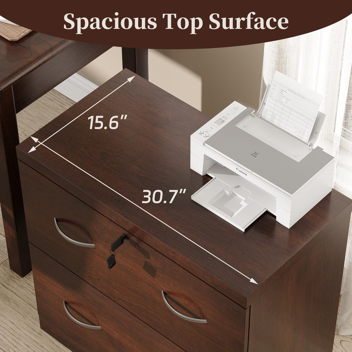 2 Drawer Wood File Cabinet with Lock C93732