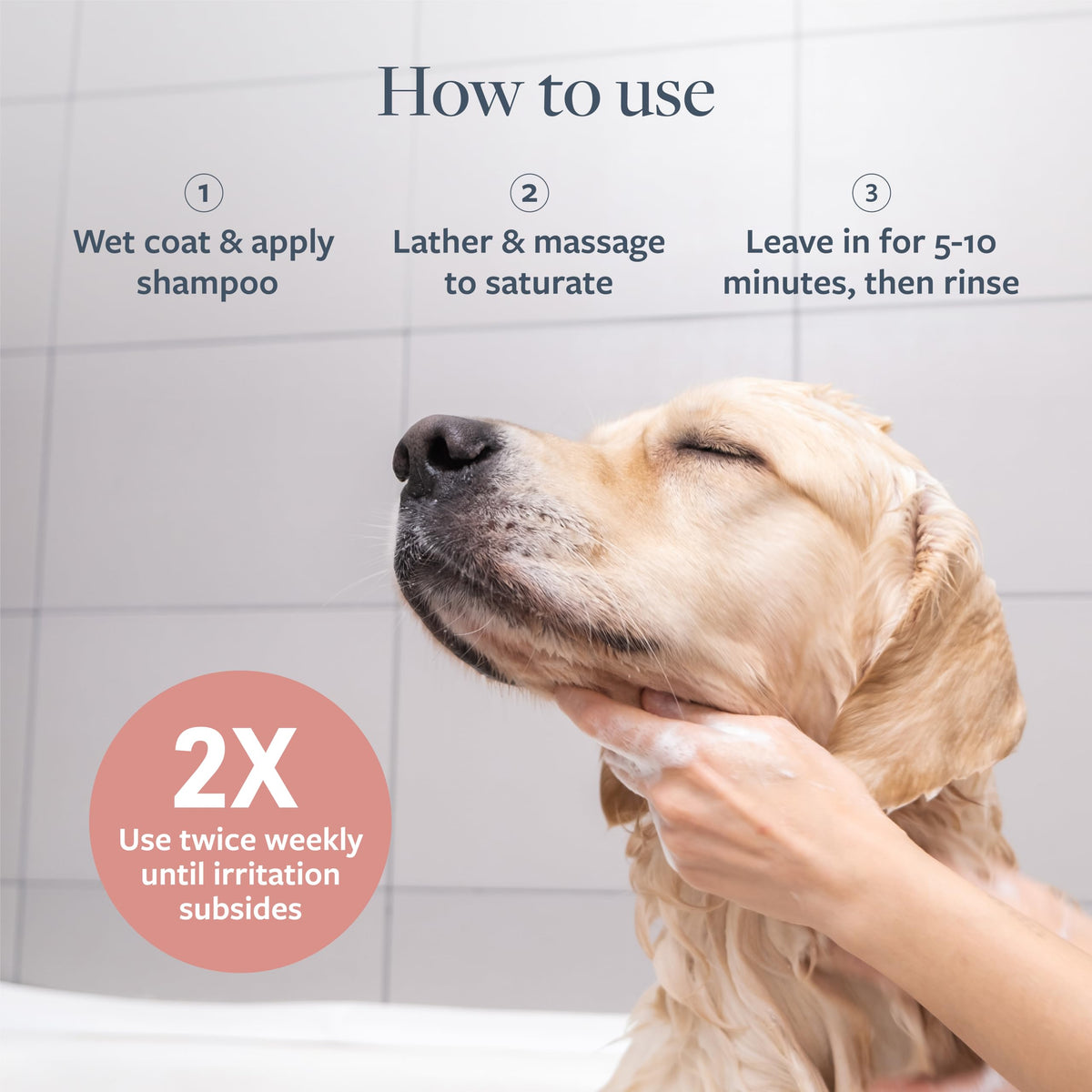 Hot Spot & Itch Relief Pet Shampoo, 16 oz M872811