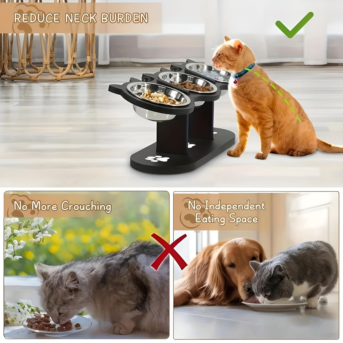Raised Cat Bowls with 3 Stainless Steel Bowls D268