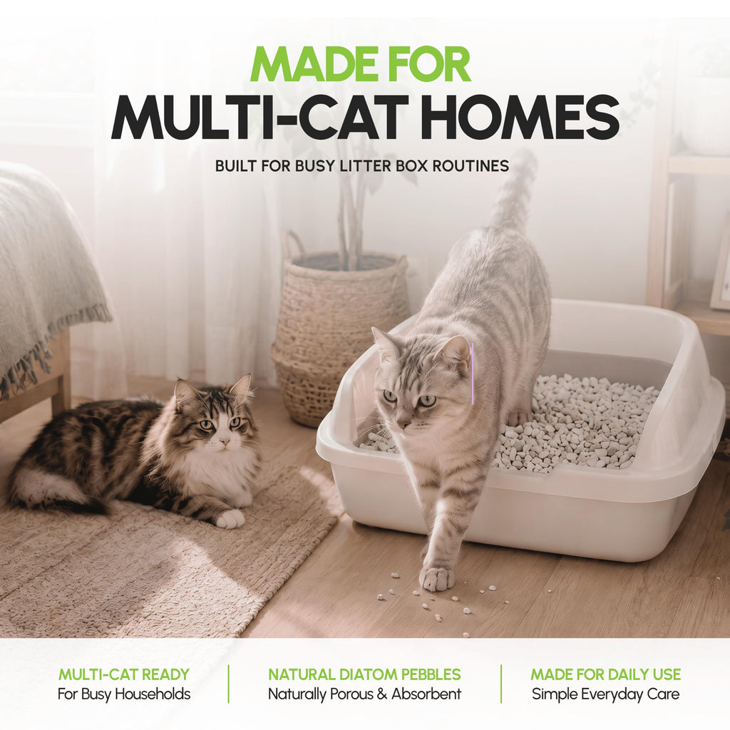 All Natural Unscented Cat Litter 8 lbs X304566