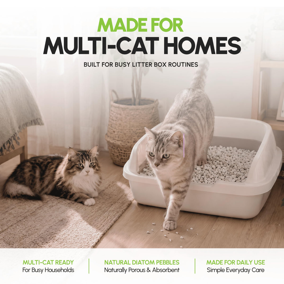 All Natural Unscented Cat Litter 8 lbs X304566