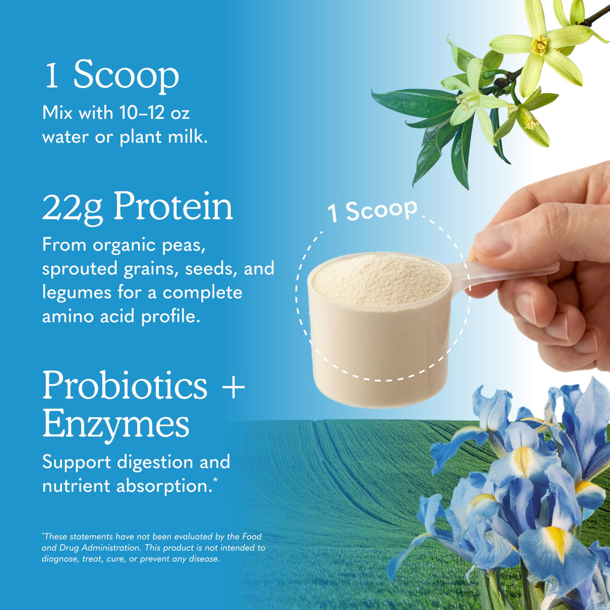 Organic Vegan Vanilla Protein Powder R635310
