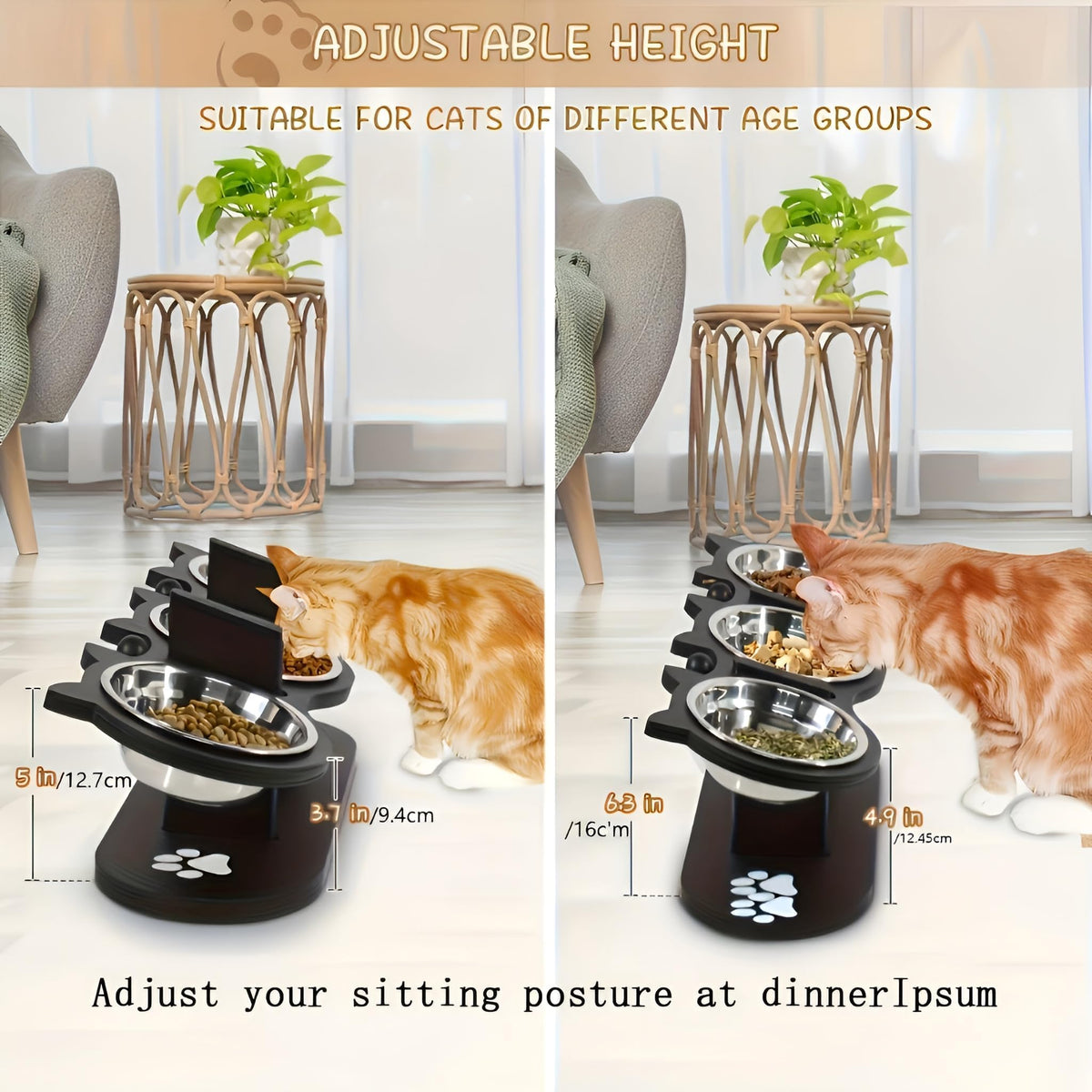 Raised Cat Bowls with 3 Stainless Steel Bowls D268
