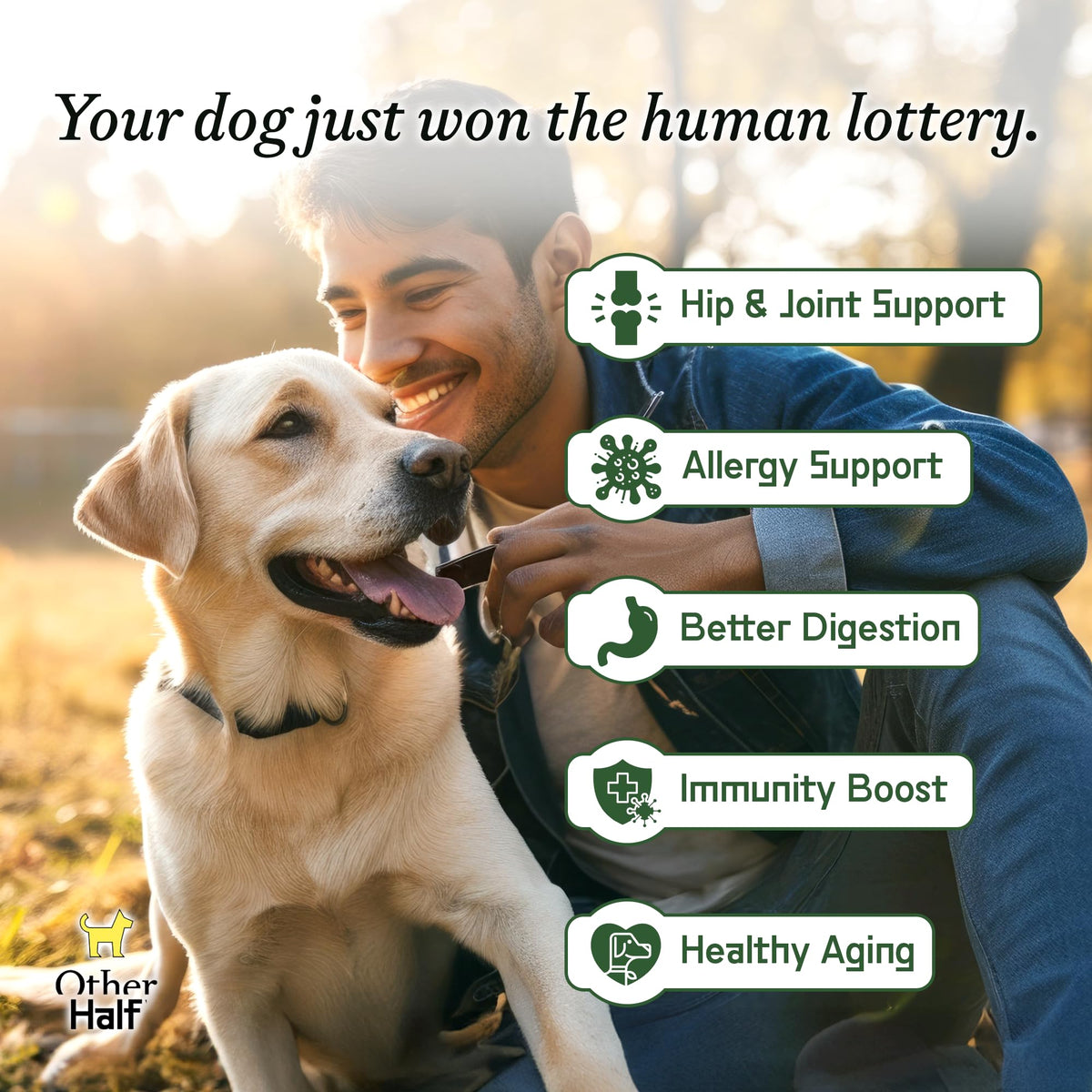 Dog Multivitamin Supplement with Glucosamine Chondroitin Omega 3 Probiotics V24160