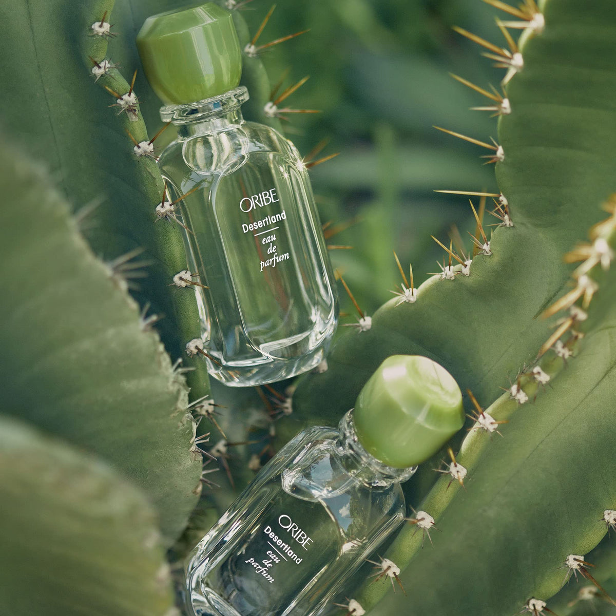 Eau de Parfum L438436