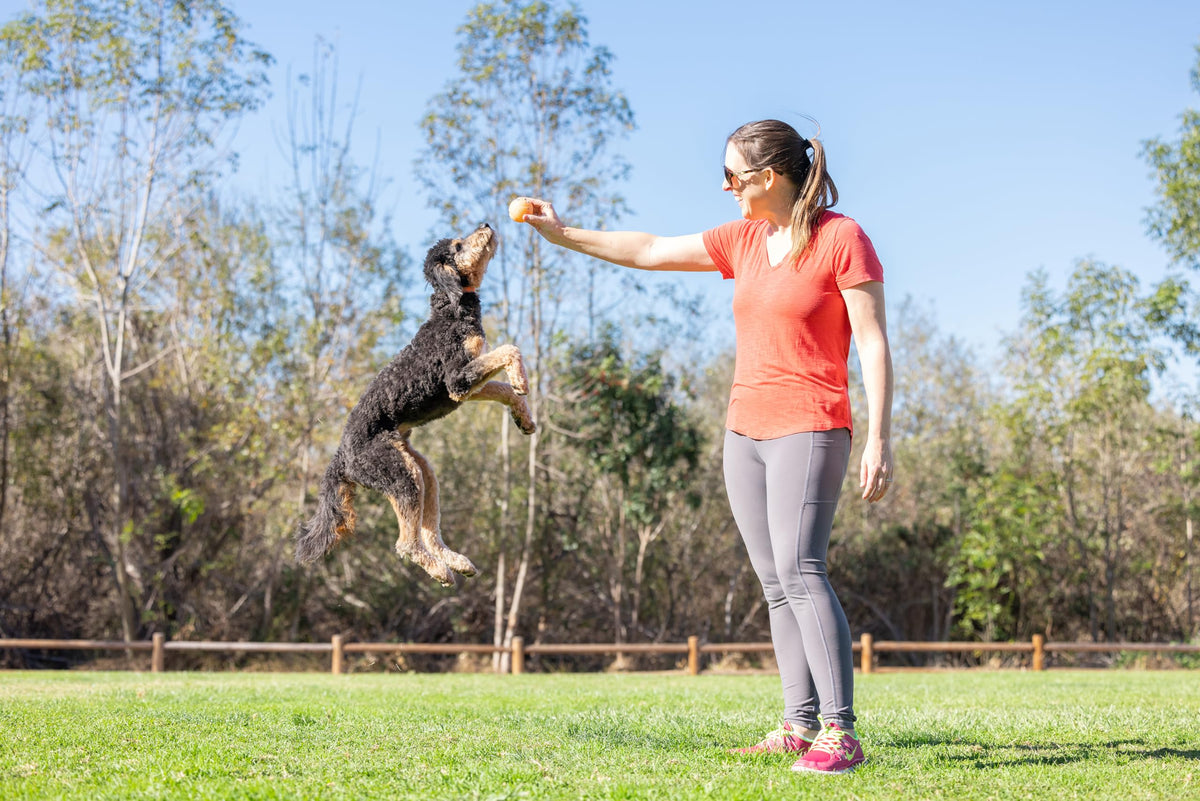 Medium Fetch Ball T504