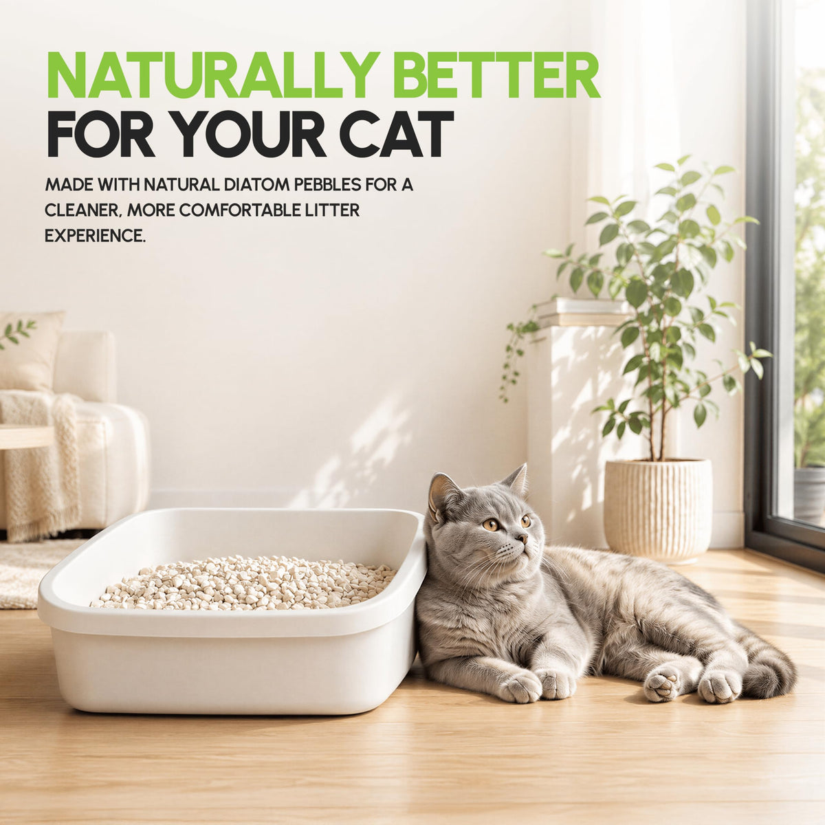 All Natural Unscented Cat Litter 8 lbs X304566